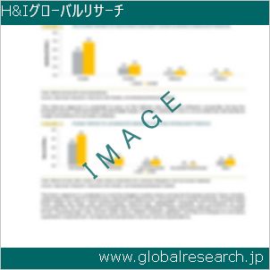 グローバルリサーチ調査レポートのイメージ